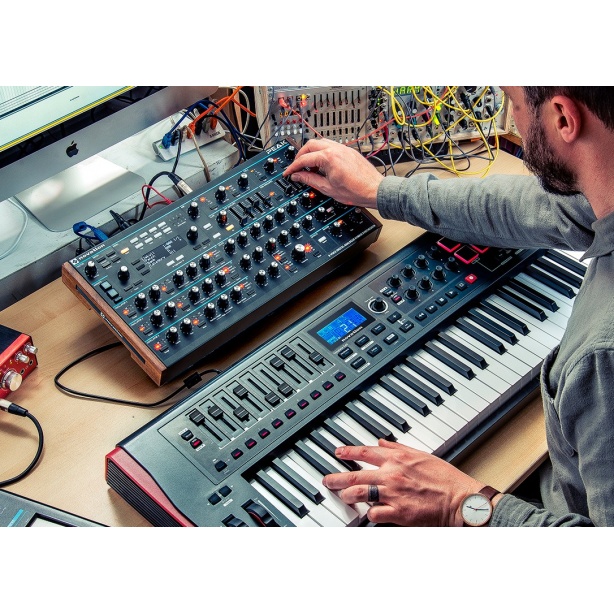 Novation PEAK Sintetizador polifonico - Imagen 3