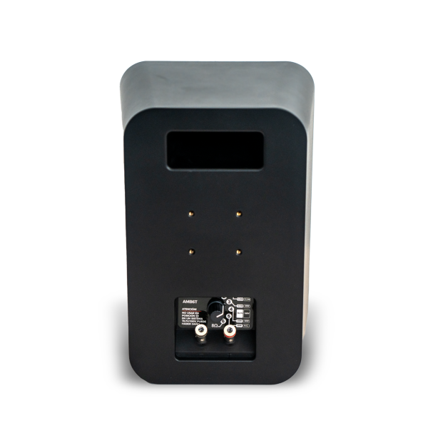 DFX - AMB6T BLACK - Imagen 5